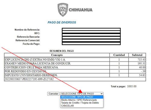 Opciones de pago de licencia de conducir en Chihuahua