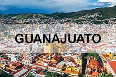 Solicitud de licencia de conducir en Guanajuato 2023