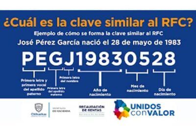 ¡Descubre la clave igual al RFC del auto y protege tu identidad!