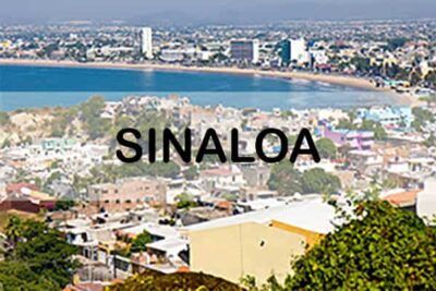 Licencia de conducir por primera vez en Sinaloa 2023