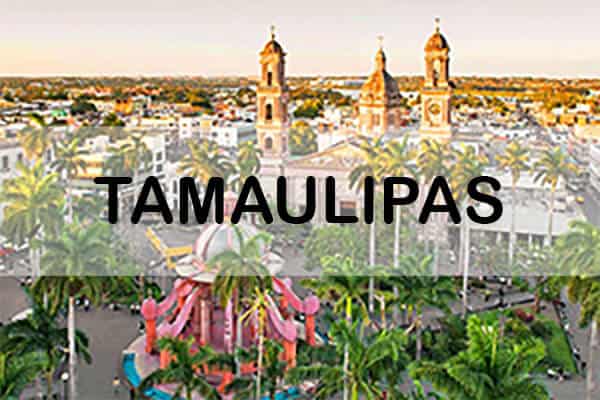 Tamaulipas Licencia de conducir, Tenencia vehicular y Refrendo vehicular. Adeudos vehiculares. Trámites vehiculares en México