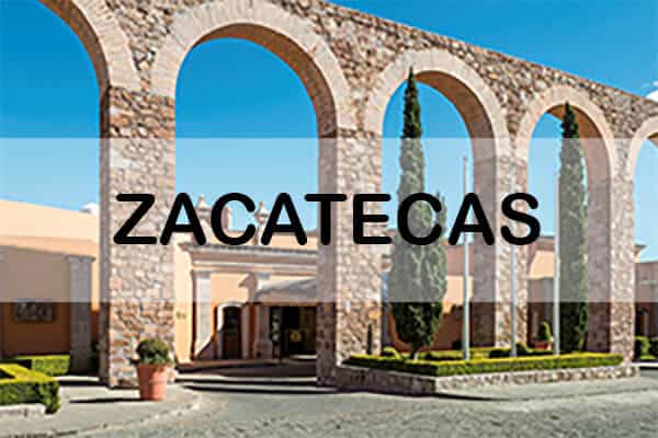 Zacatecas Licencia de conducir, Tenencia vehicular y Refrendo vehicular. Adeudos vehiculares. Trámites vehiculares en México